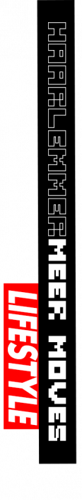 logo lifestyle - liggend rood